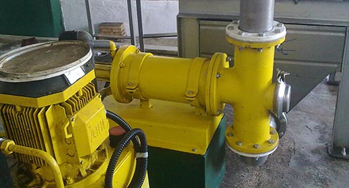 O processo de produção de azeite