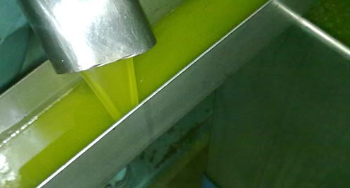 O processo de produção de azeite